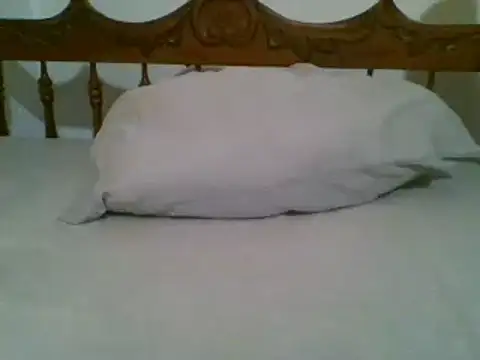 bbccol1 online show from 17, 3, 2025