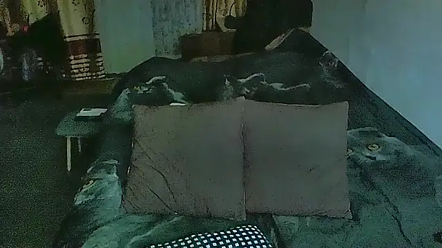 sex2 online show from 3, 3, 2026