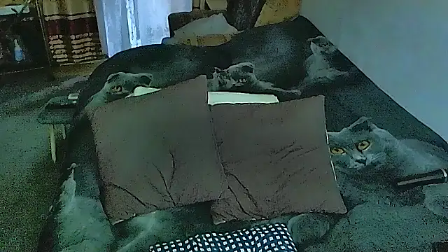 sex2 online show from 28, 10, 2025