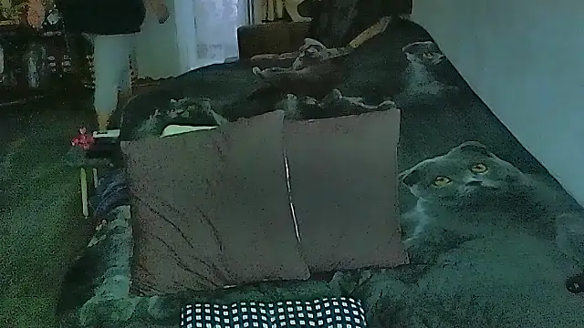 sex2 online show from 9, 4, 2026