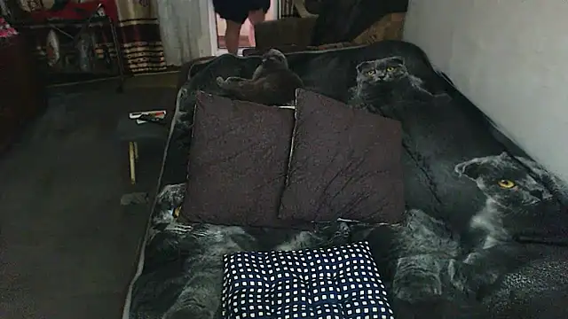 sex2 online show from 29, 5, 2026