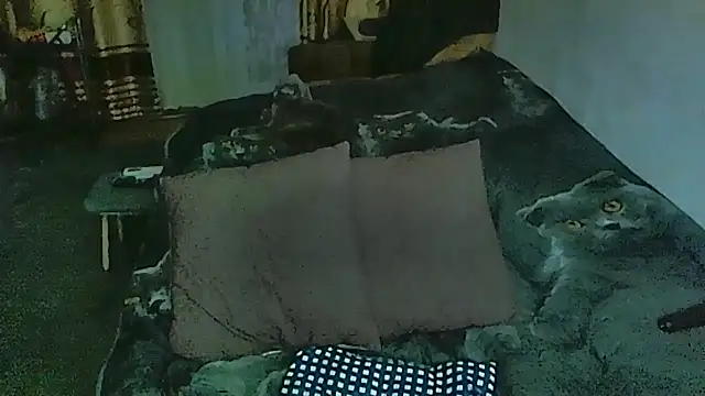 sex2 online show from 24, 3, 2026