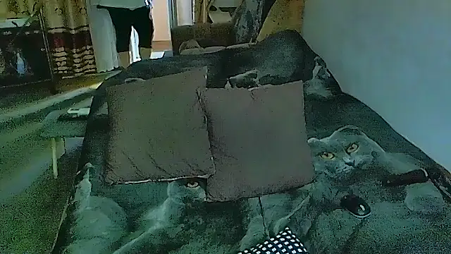 sex2 online show from 17, 11, 2025