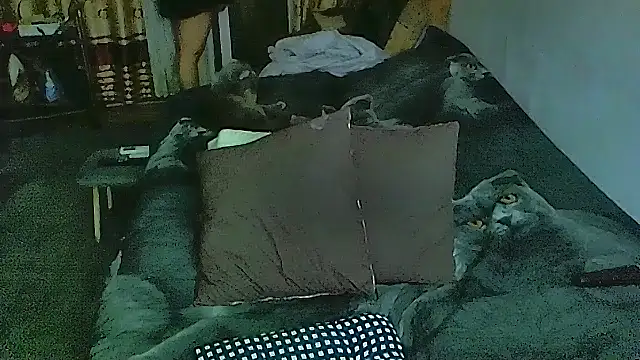 sex2 online show from 1, 12, 2025