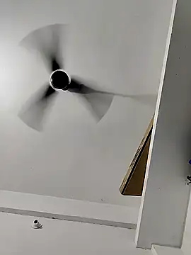 vishnuvinod india online show from 14, 11, 2025