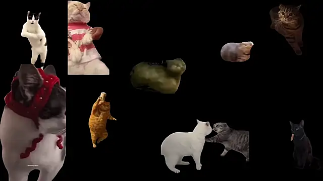 aberaaruba online show from 5, 11, 2025