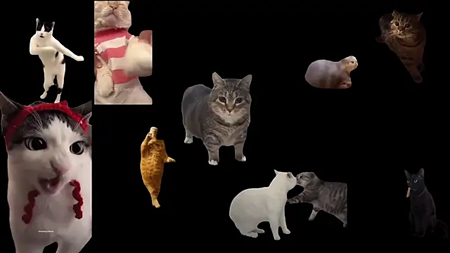 aberaaruba online show from 29, 10, 2025