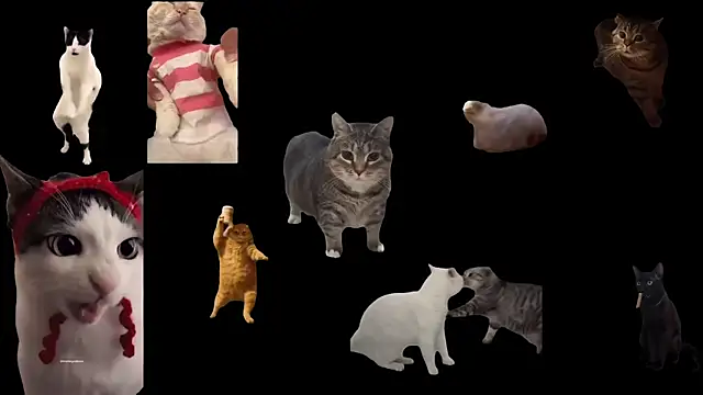 aberaaruba online show from 12, 11, 2025