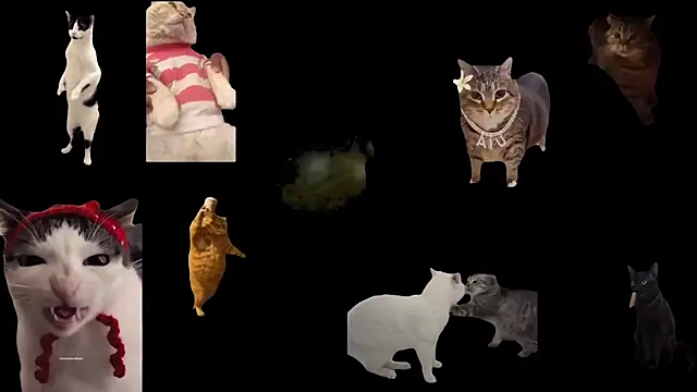 aberaaruba online show from 6, 11, 2025