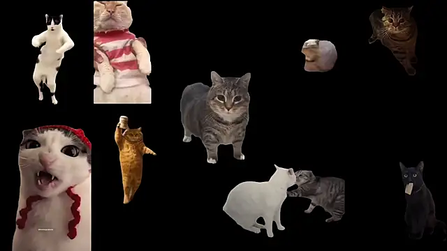 aberaaruba online show from 24, 11, 2025