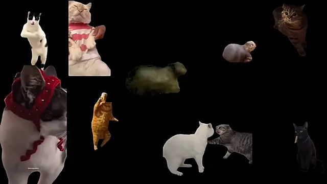 aberaaruba online show from 20, 11, 2025