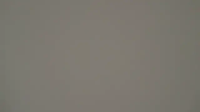 aberaaruba online show from 24, 2, 2025