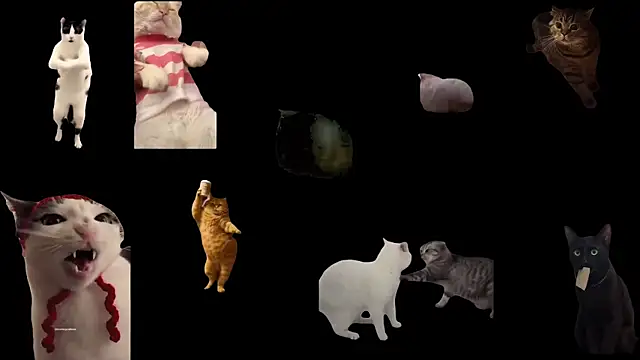 aberaaruba online show from 23, 10, 2025