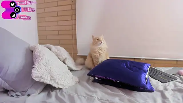 Queen liana online show from 10, 1, 2025