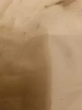 VirginSlaveBttm online show from 17, 6, 2026