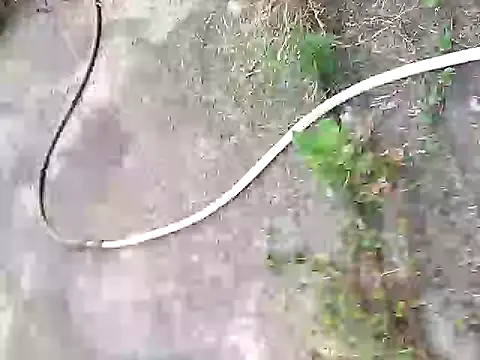 Pitercom online show from 5, 10, 2025