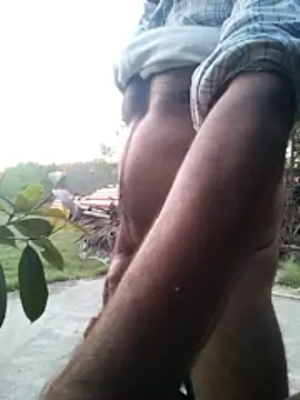 Pitercom online show from 4, 3, 2026