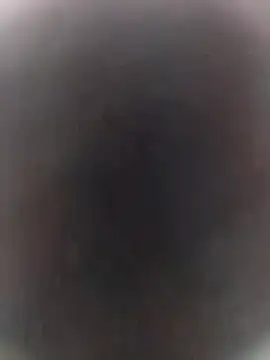 Pitercom online show from 7, 10, 2025