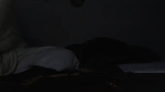 HoneyDripHer online show from 3, 12, 2024