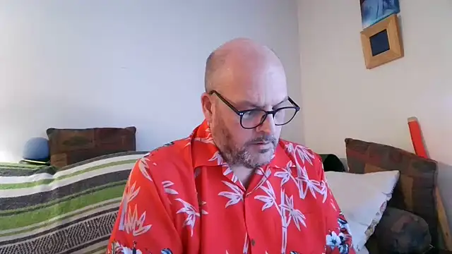 Ursulet US online show from 9, 6, 2026
