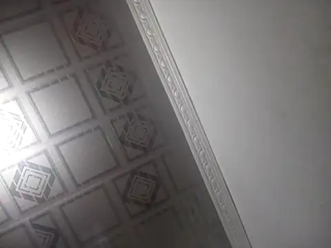 PlanetalMilk online show from 25, 4, 2026