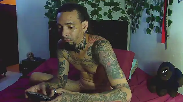 caribbeanlover1 online show from 17, 5, 2026