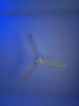 Snapshot of monabhabi22 chatting on 24, 2, 2025 monabhabi22 online show from 24, 2, 2025