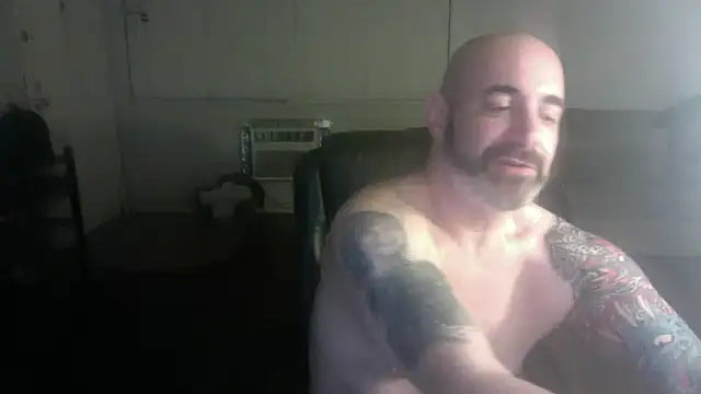 palidin1 online show from 6, 2, 2026