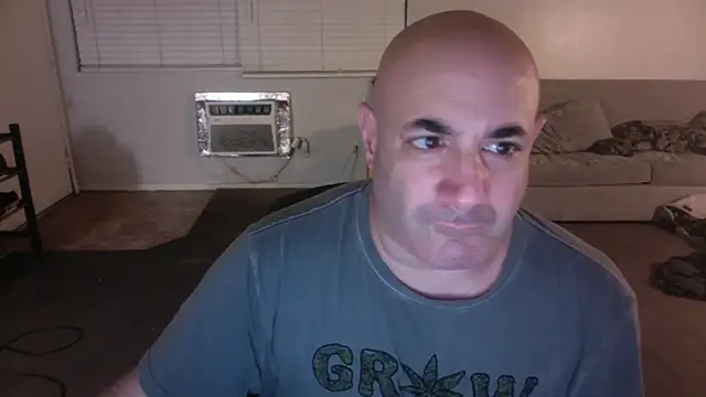 palidin1 online show from 22, 12, 2025