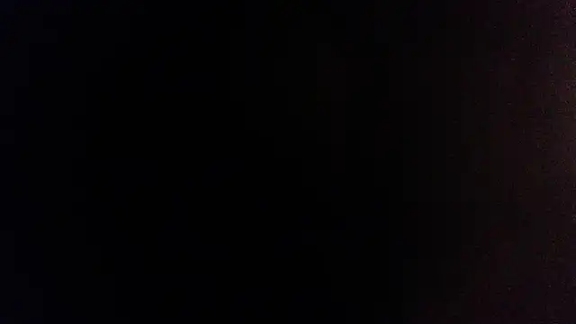 palidin1 online show from 5, 12, 2025