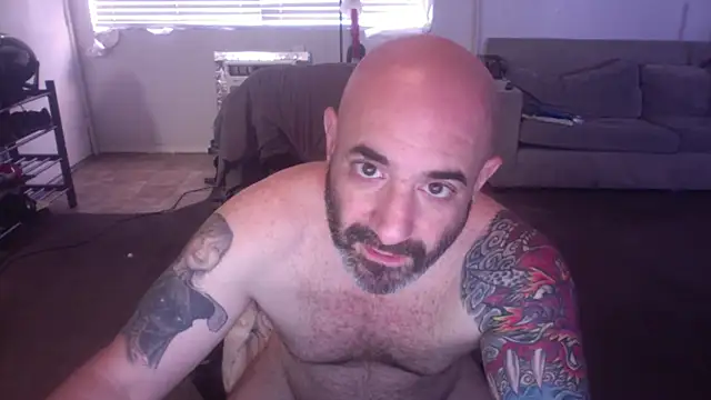 palidin1 online show from 18, 3, 2026