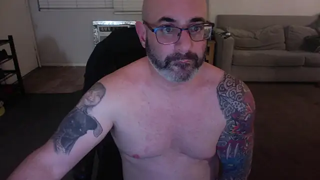 palidin1 online show from 13, 1, 2026