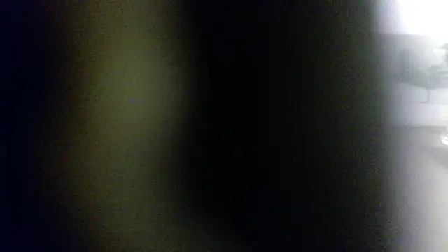 palidin1 online show from 1, 2, 2026