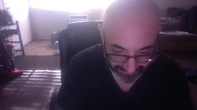 palidin1 online show from 2, 2, 2026