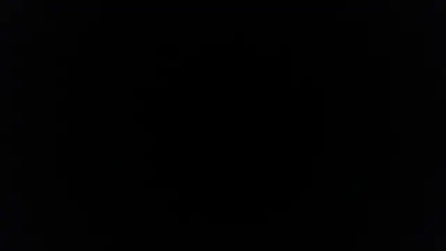 palidin1 online show from 5, 12, 2025