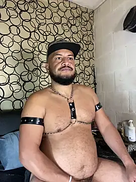 the master foal  online show from 19, 4, 2026