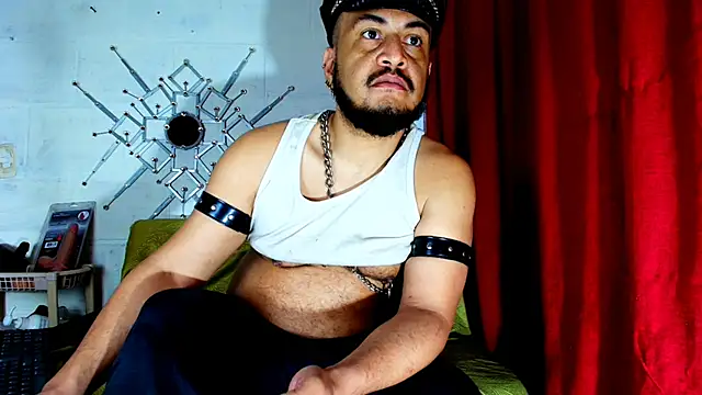 the master foal  online show from 29, 11, 2025