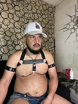 the master foal  online show from 11, 3, 2026