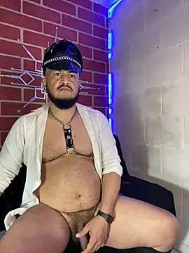 the master foal  online show from 22, 2, 2026