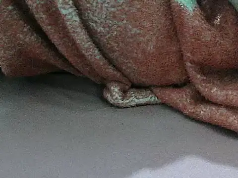 FUN4TIPS online show from 2, 3, 2025