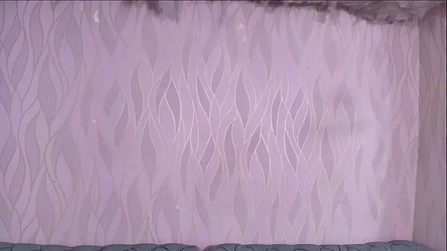 lay navas online show from 6, 11, 2025