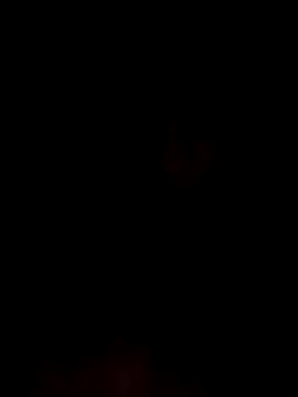 kingdennis6666 online show from 11, 11, 2025