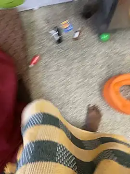 falooda288 online show from 5, 3, 2025