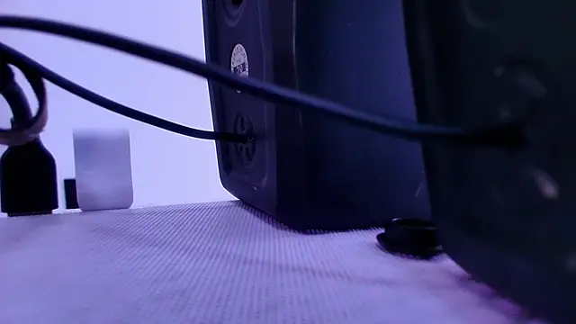 shelsyloreds online show from 27, 11, 2025