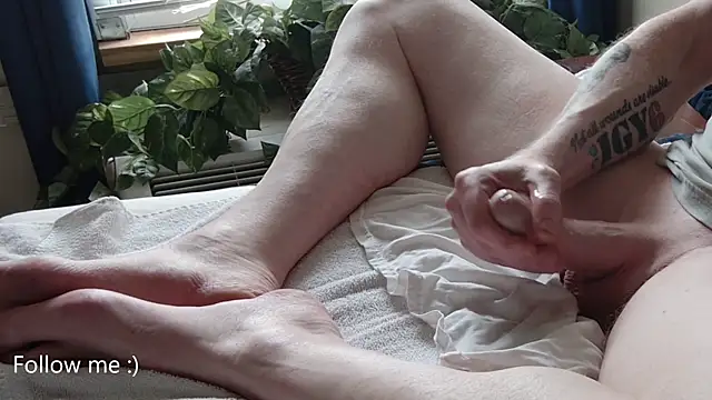 American Dad online show from 25, 9, 2025