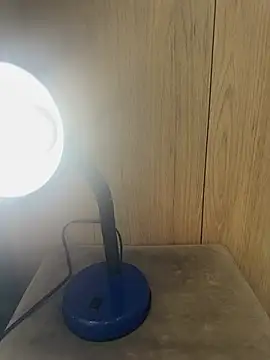 Snapshot of lau_ass_goddess chatting on 22, 2, 2025 lau ass goddess online show from 22, 2, 2025