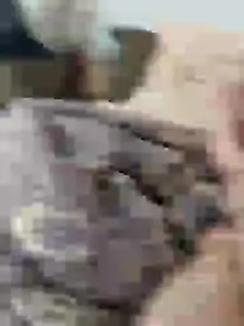 Yaramaz331 online show from 11, 3, 2025