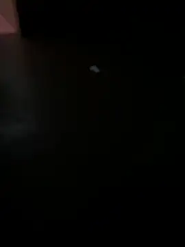 Snapshot of MALEHYPER chatting on 2, 12, 2025 MALEHYPER online show from 2, 12, 2025