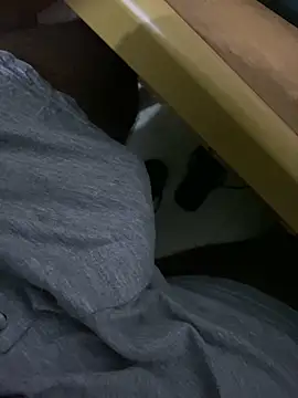 Snapshot of MALEHYPER chatting on 4, 10, 2025 MALEHYPER online show from 4, 10, 2025