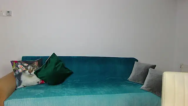 Snapshot of SaraDaisy chatting on 26, 2, 2025 SaraDaisy online show from 26, 2, 2025